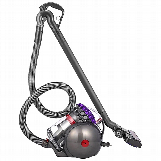 ���� ��� ���� Dyson ������ Big Ball Parquet 2 CY28